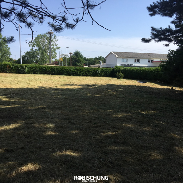 Offres de vente Terrain Seppois-le-Bas 68580