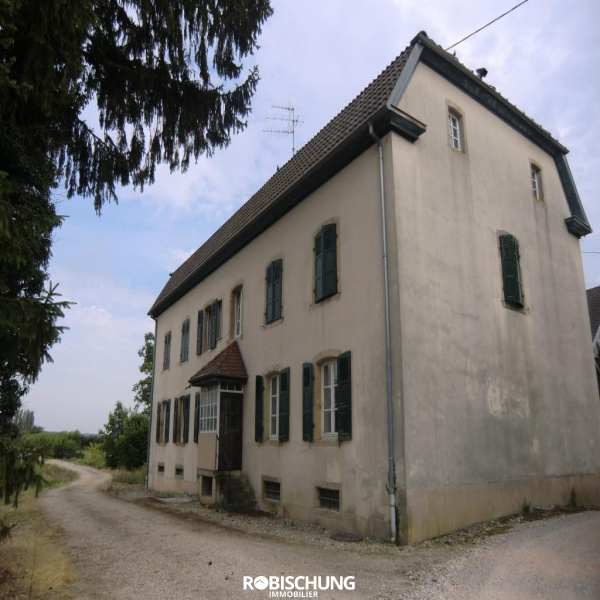 Offres de location Appartement Hirtzbach 68118