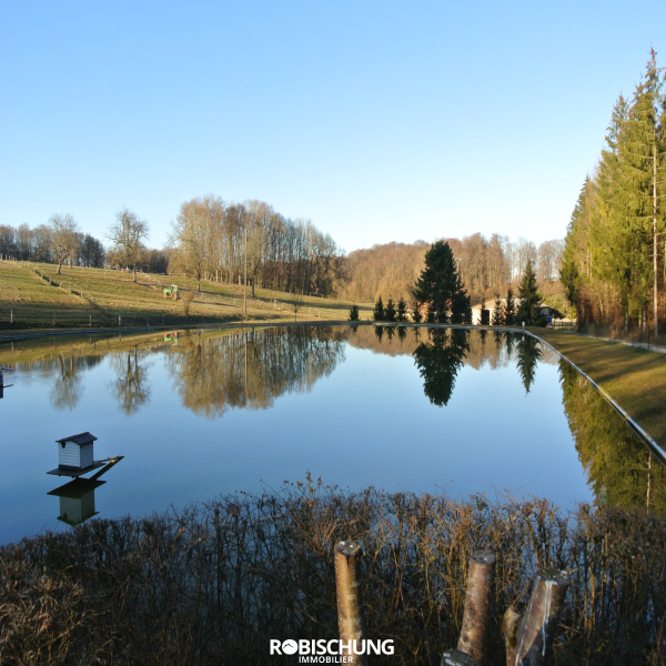 Offres de vente Etang Feldbach 68640