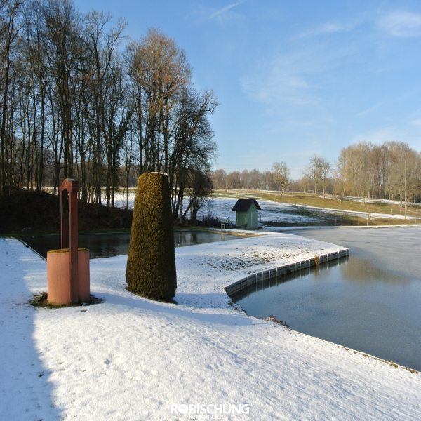 Offres de vente Etang Feldbach 68640
