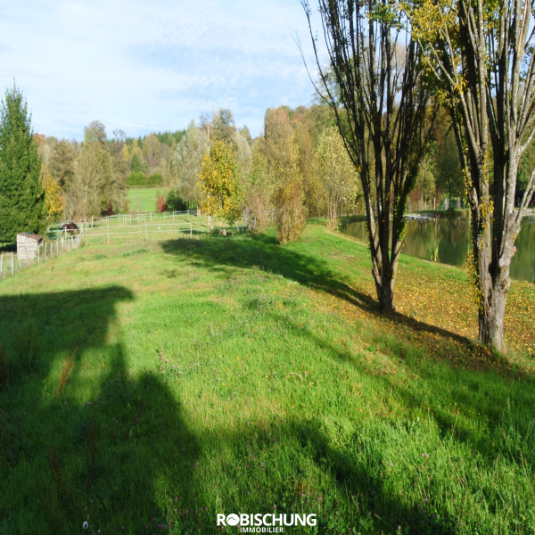 Offres de vente Terrain Ueberstrass 68580