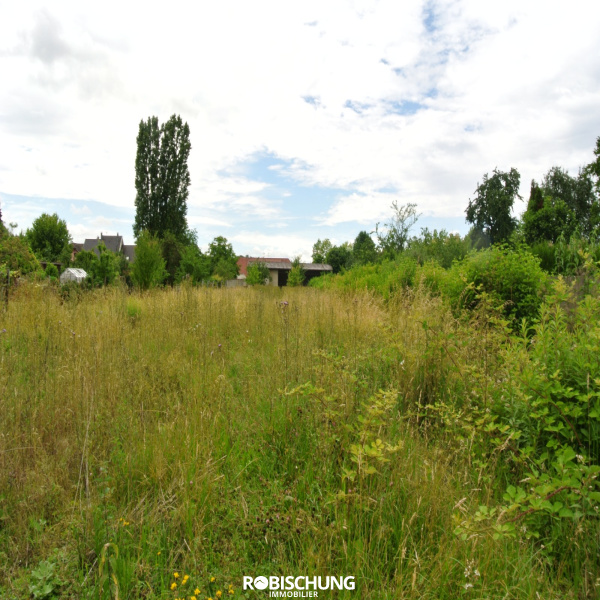 Offres de vente Terrain Hirtzbach 68118