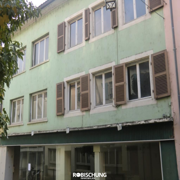 Offres de vente Immeuble Altkirch 68130