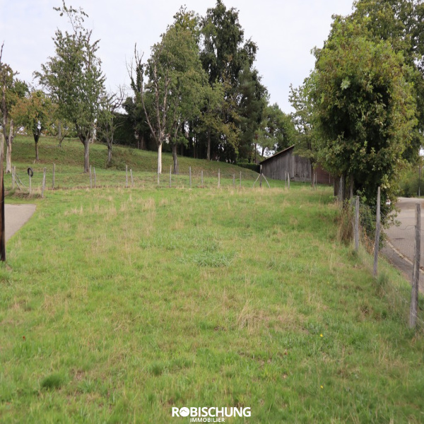 Offres de vente Terrain Muespach 68640