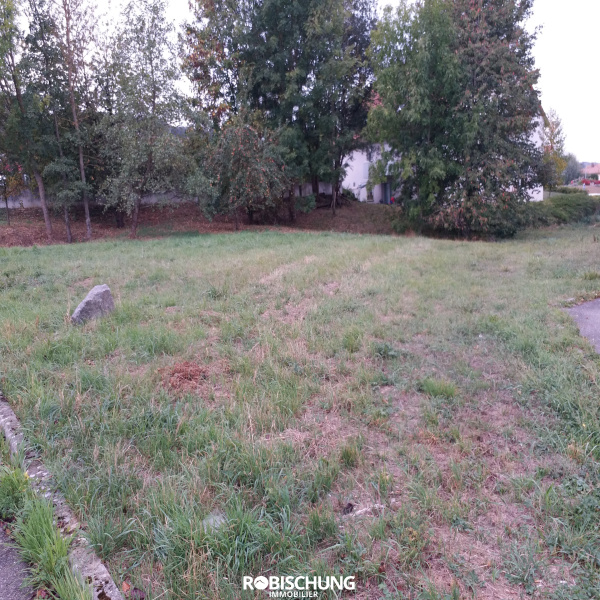 Offres de vente Terrain Hirsingue 68560