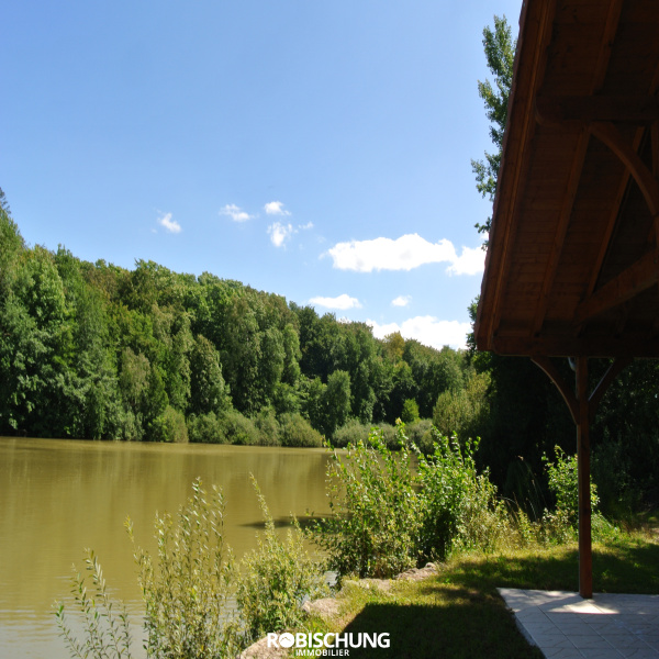 Offres de vente Etang Feldbach 68640