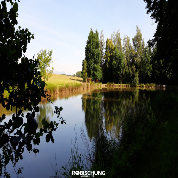 Offres de vente Etang Fulleren 68210