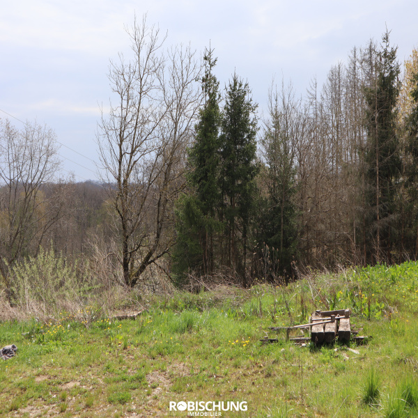 Offres de vente Terrain Saint-Ulrich 68210