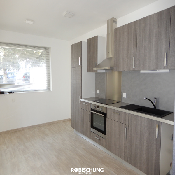 Offres de location Appartement Altkirch 68130