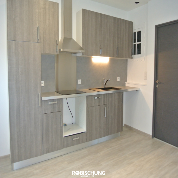Offres de location Appartement Altkirch 68130