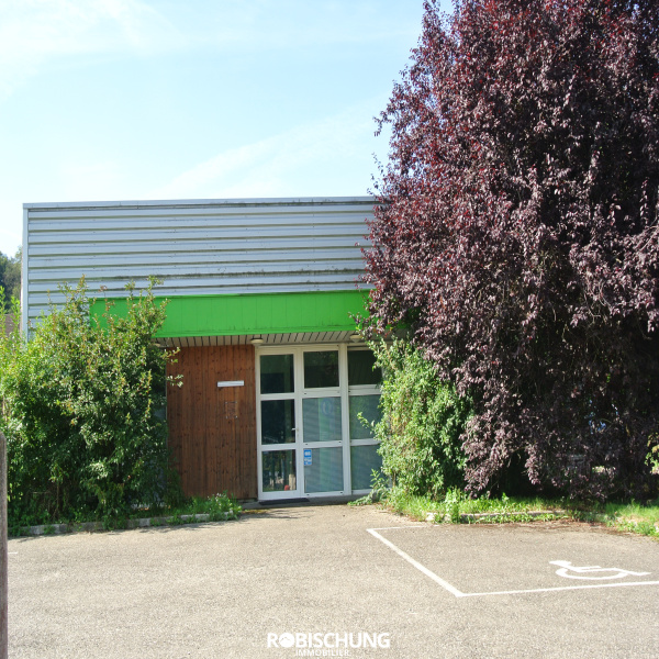 Vente Immobilier Professionnel Local commercial Hirsingue 68560