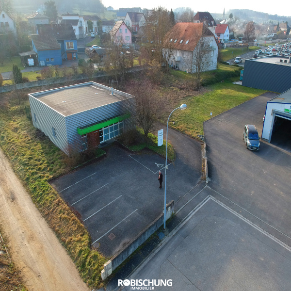 Vente Immobilier Professionnel Local commercial Hirsingue 68560