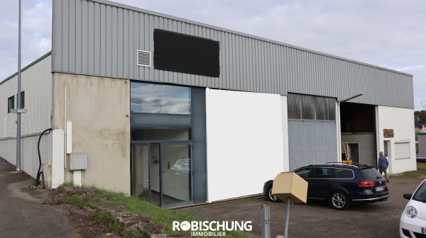 Vente Immobilier Professionnel Local professionnel Waldighofen 68640