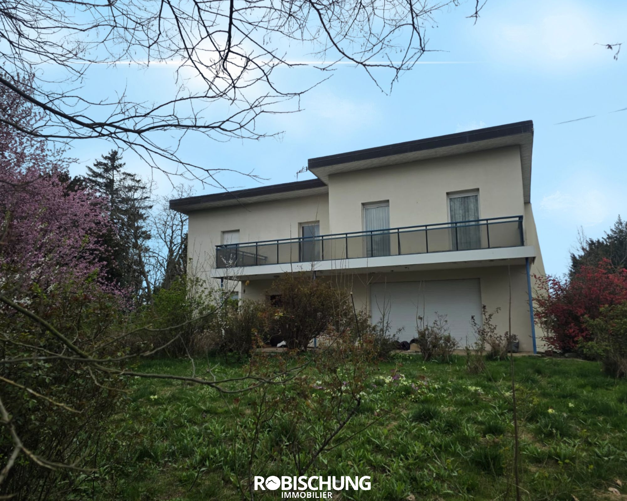 Agence immobilière de Robischung Immo