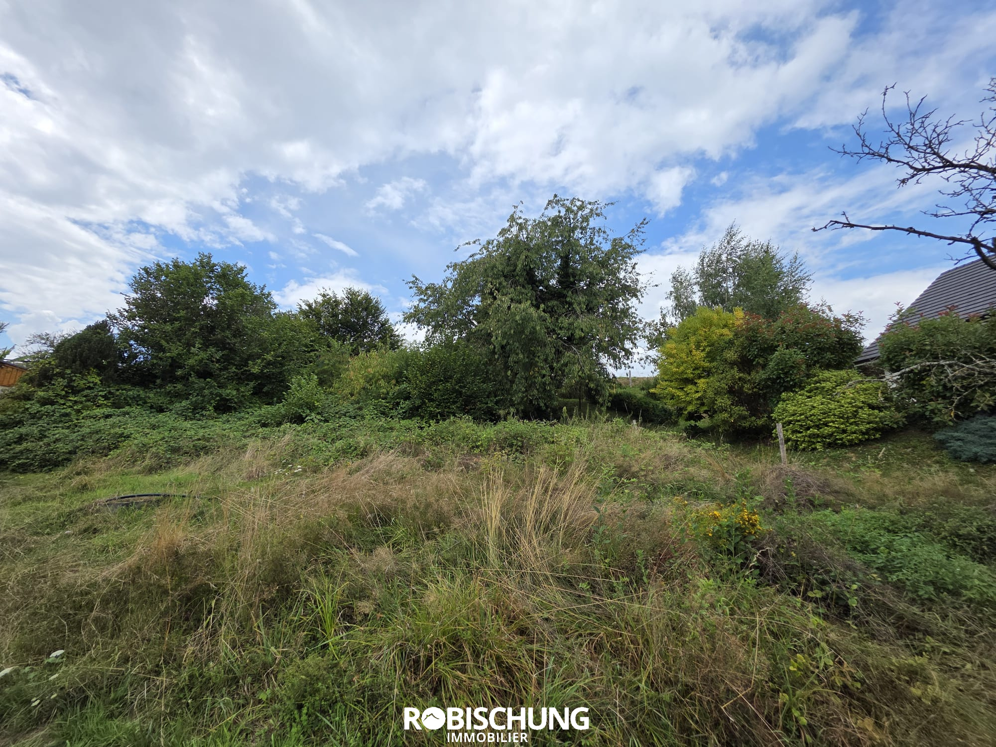 Agence immobilière de Robischung Immo