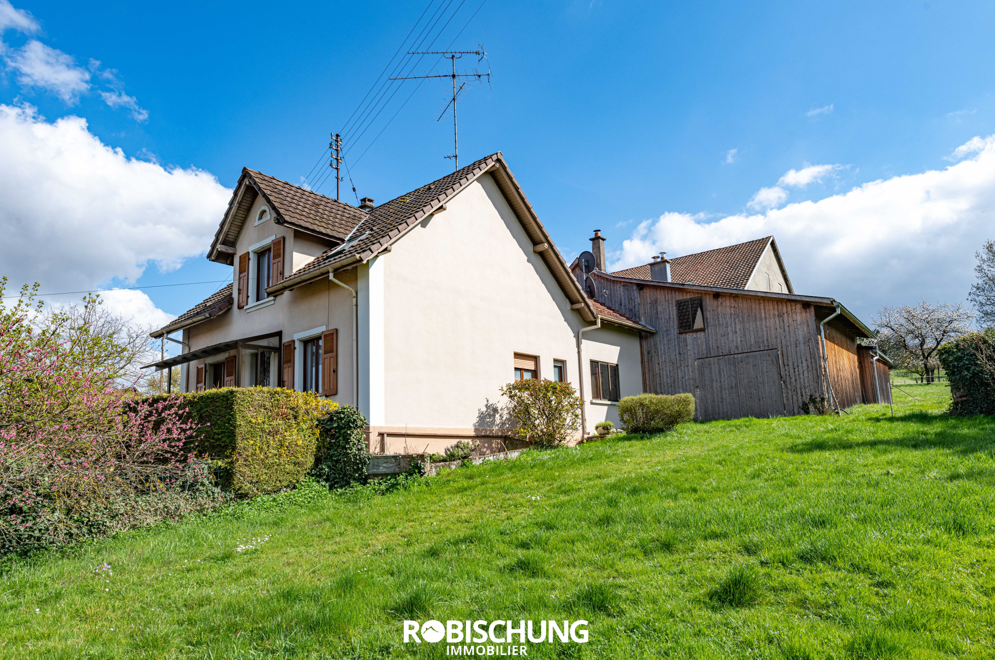 Agence immobilière de Robischung Immo