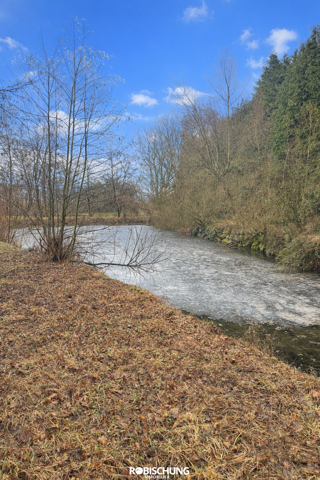 Agence immobilière de Robischung Immo