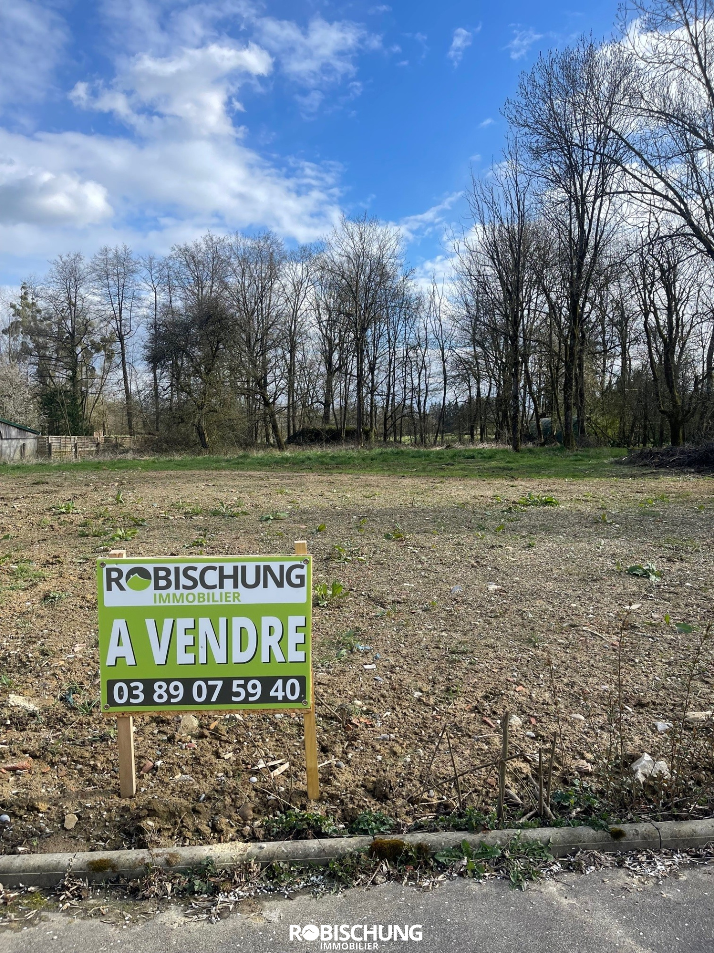Agence immobilière de Robischung Immo