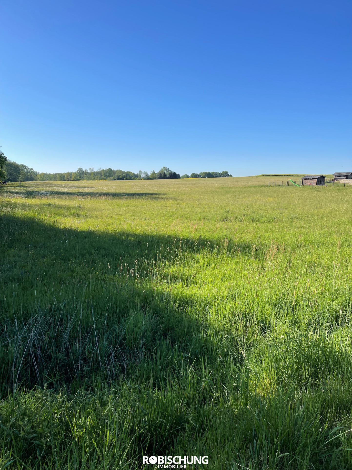Agence immobilière de Robischung Immo
