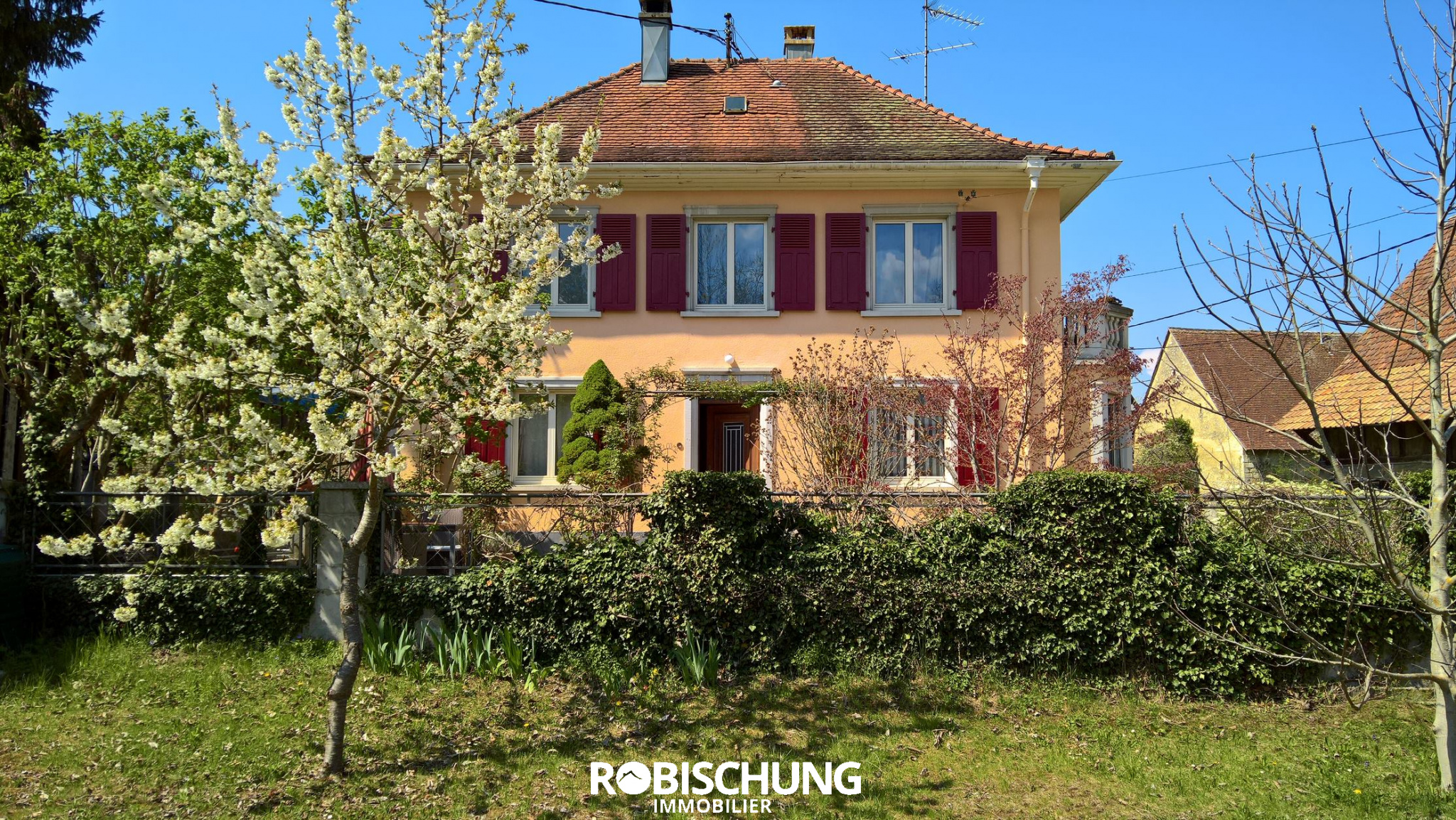 Agence immobilière de Robischung Immo