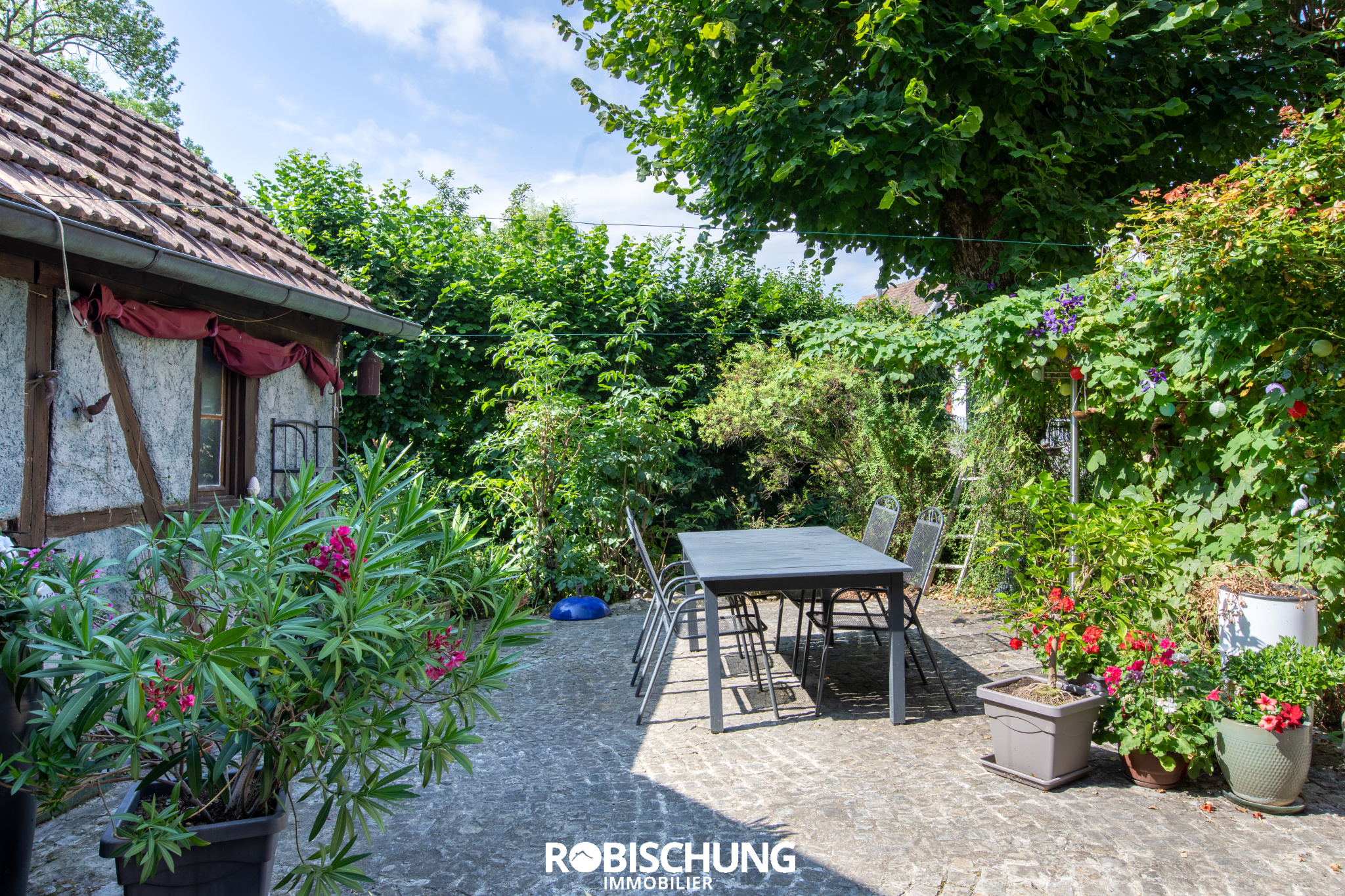 Agence immobilière de Robischung Immo