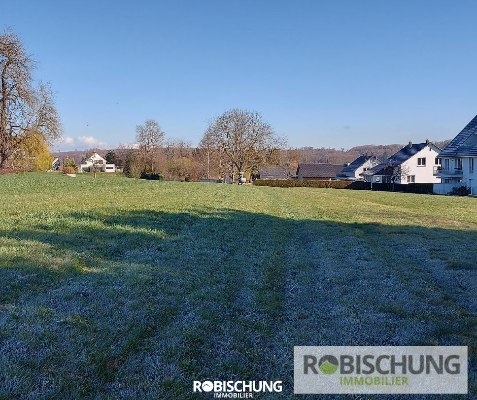 Agence immobilière de Robischung Immo