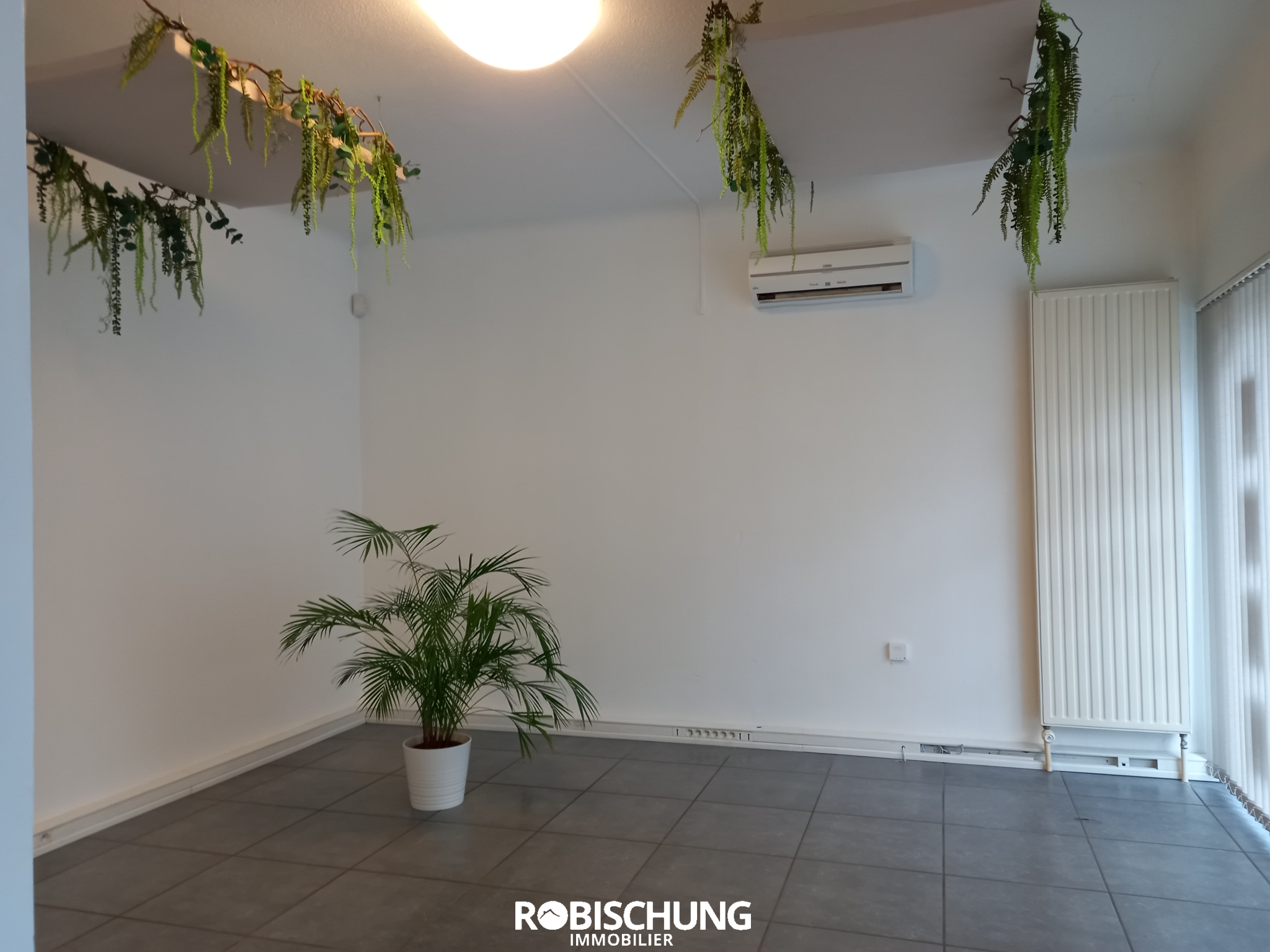 Agence immobilière de Robischung Immo