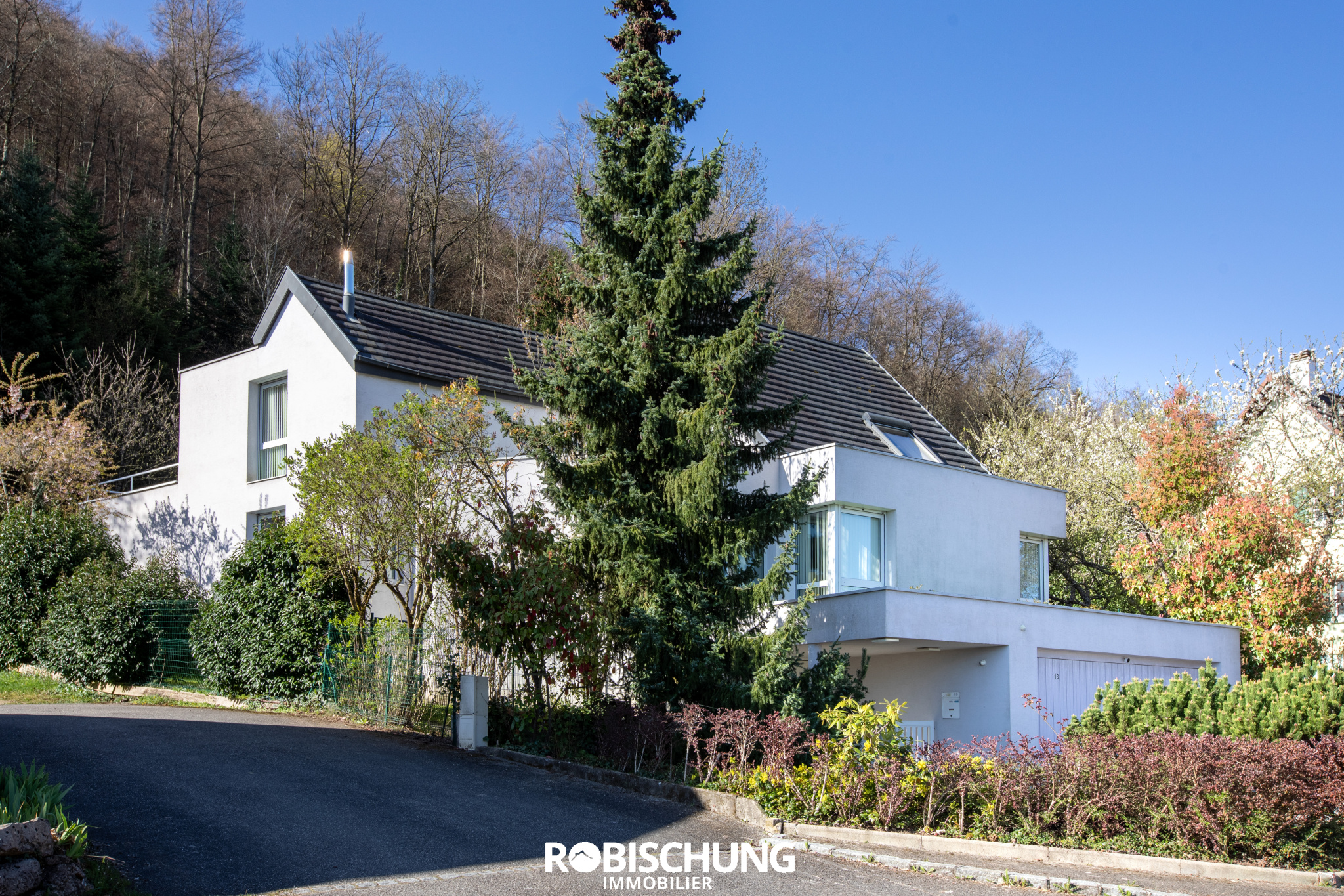 Agence immobilière de Robischung Immo