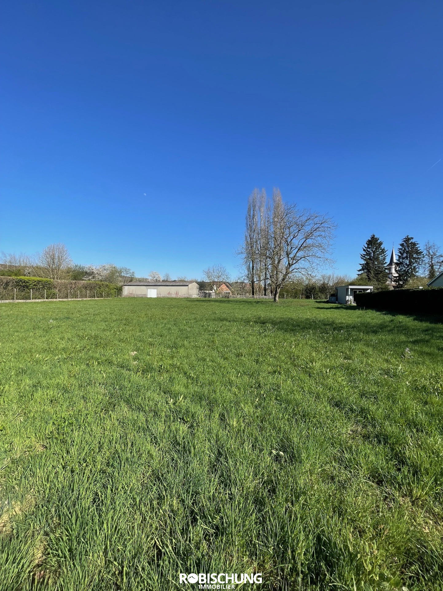 Agence immobilière de Robischung Immo