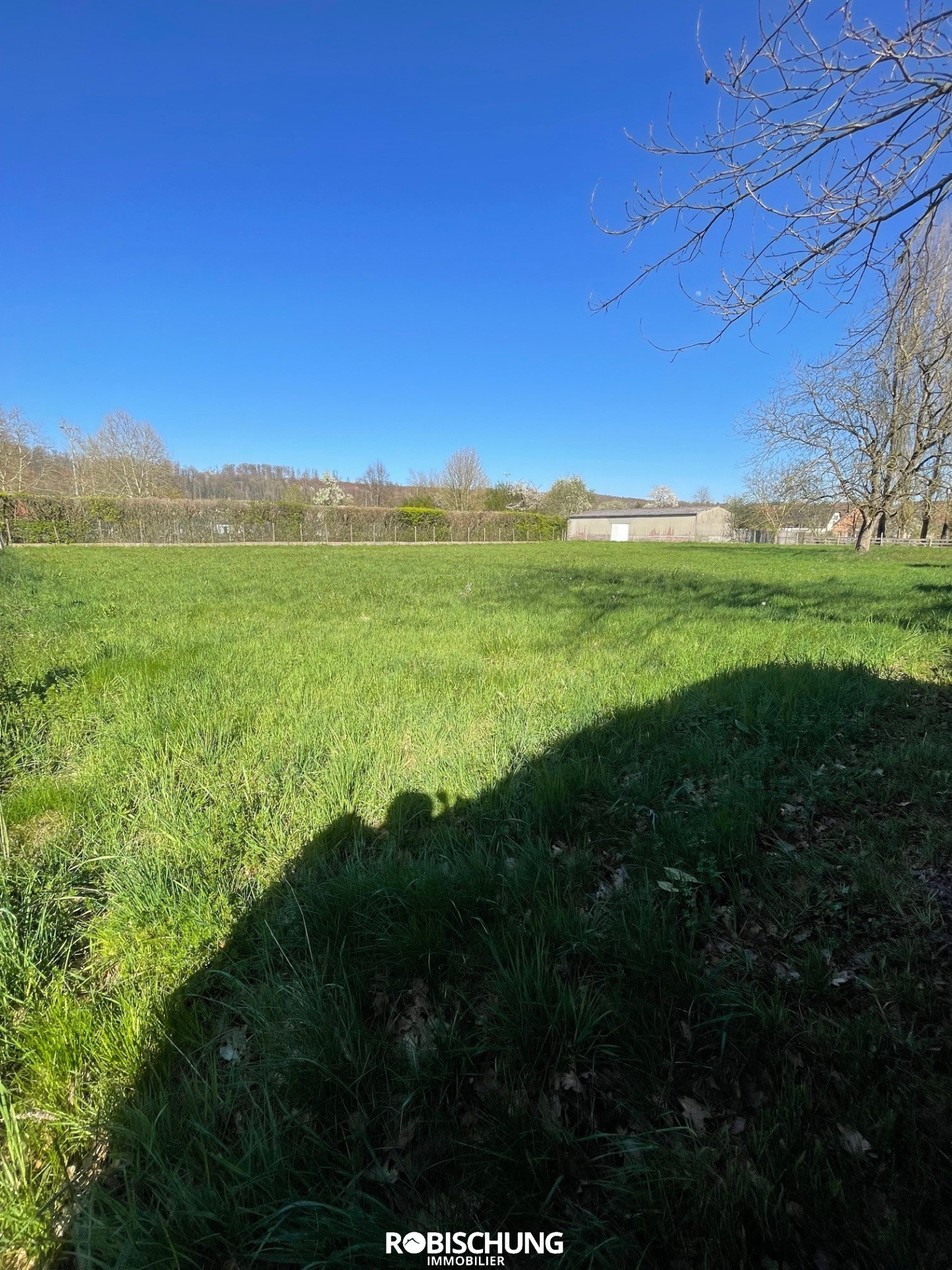 Agence immobilière de Robischung Immo